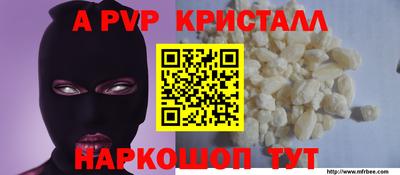 крисы Кингисепп