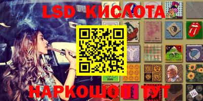 крисы Кингисепп