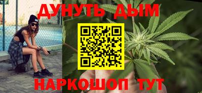 крисы Кингисепп