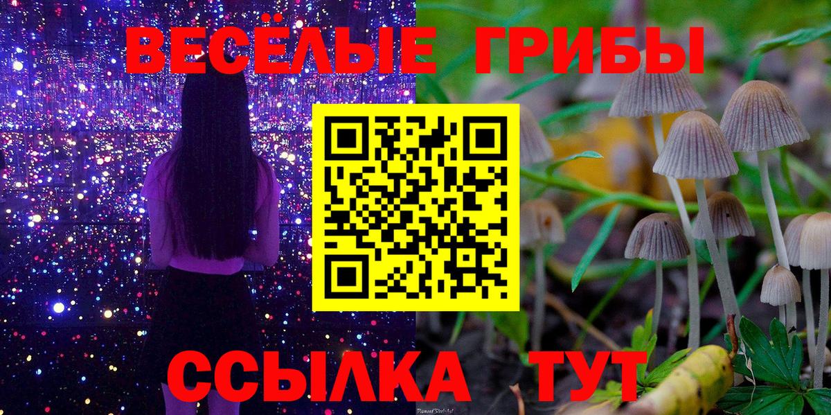 Арсеньев  Псилоцибиновые грибы ЛСД  Вход с VPN  дарнет шоп  Галлюциногенные грибы прущие грибы 